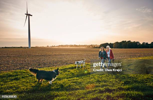 two women on a dog walk in the countryside - north sea wind farm stock pictures, royalty-free photos & images