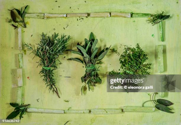 green aromatic herbs - erbe aromatiche stock pictures, royalty-free photos & images