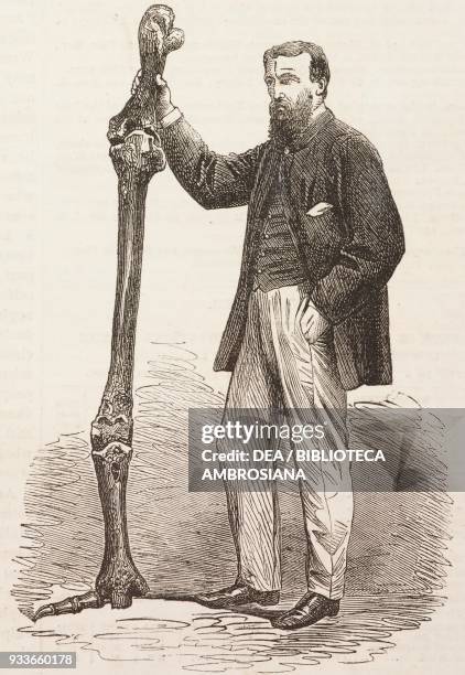 Leg of Giant moa from New Zealand, illustration from the magazine The Illustrated London News, volume XLVI, June 10, 1865.