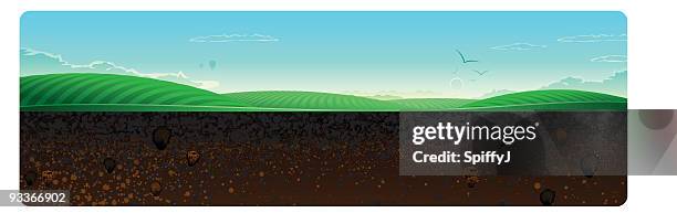 bildbanksillustrationer, clip art samt tecknat material och ikoner med cross section vineyard - cross section