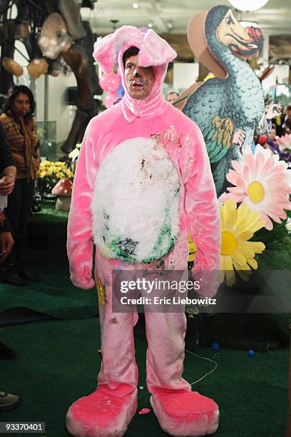 Suarez Rabbit 130 Ugly Rabbit Stock Photos, High-Res Pictures, and Images - Getty Images