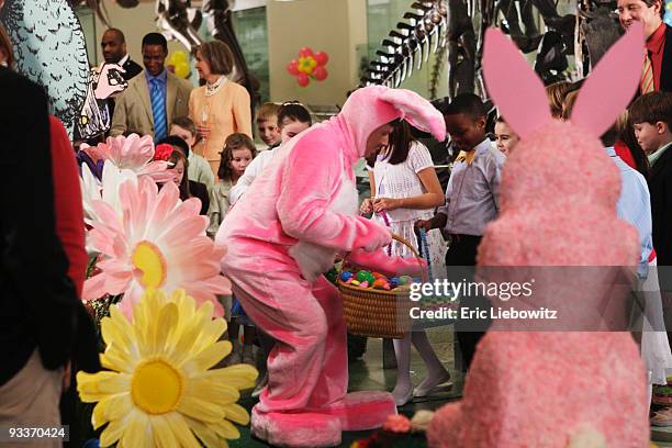 Suarez Rabbit 130 Ugly Rabbit Stock Photos, High-Res Pictures, and Images - Getty Images