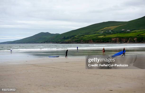 surfing at inch beach, county kerry, ireland - ireland surf wave stockfoto's en -beelden