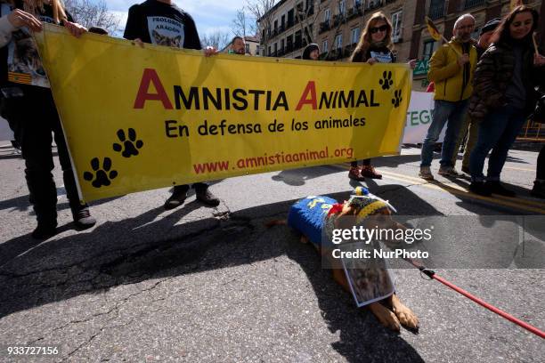 Wolfdogs are seen at a demonstration in downtown Madrid, in defense of wolf conservation, 18 March 2018. The protest was called by Marley Wolf, Equo,...