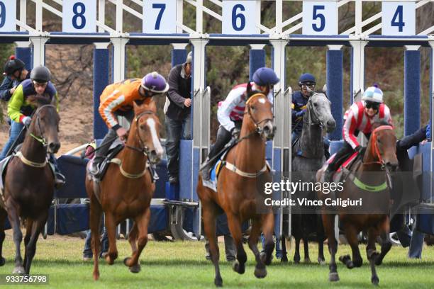 Dwayne Dunn riding champion sprinter Chautauqua refuses to jump again during Cranbourne Barrier Trials on March 19, 2018 in Melbourne, Australia.