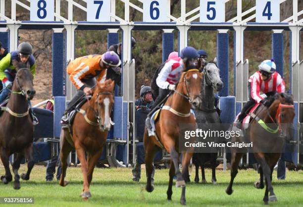 Dwayne Dunn riding champion sprinter Chautauqua refuses to jump again during Cranbourne Barrier Trials on March 19, 2018 in Melbourne, Australia.