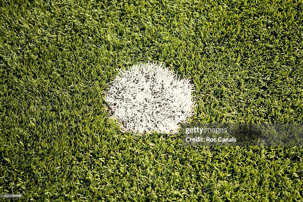 Whitepoint with grass