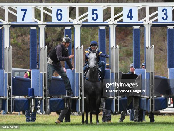 Dwayne Dunn riding champion sprinter Chautauqua refuses to jump again during Cranbourne Barrier Trials on March 19, 2018 in Melbourne, Australia.