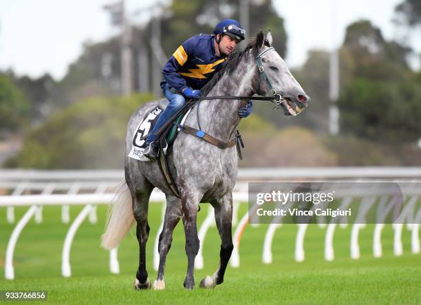 Dwayne Dunn riding champion sprinter Chautauqua before refusing to jump again during Cranbourne Barrier Trials on March 19, 2018 in Melbourne,...