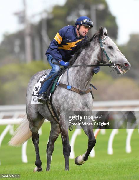 Dwayne Dunn riding champion sprinter Chautauqua before refusing to jump again during Cranbourne Barrier Trials on March 19, 2018 in Melbourne,...
