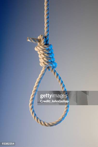 noose - murderer stock pictures, royalty-free photos & images