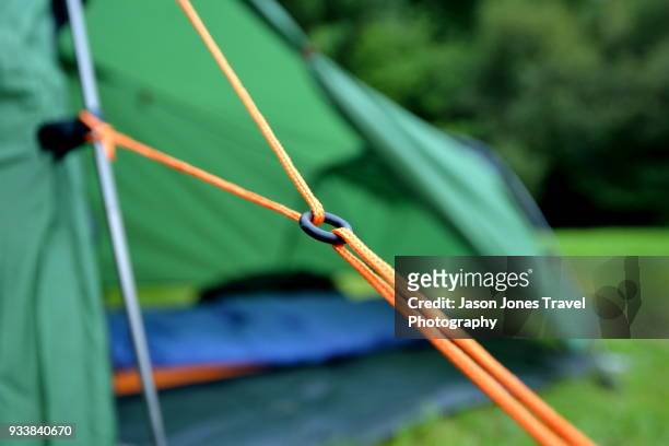 guy ropes of a tent - guy rope stock pictures, royalty-free photos & images