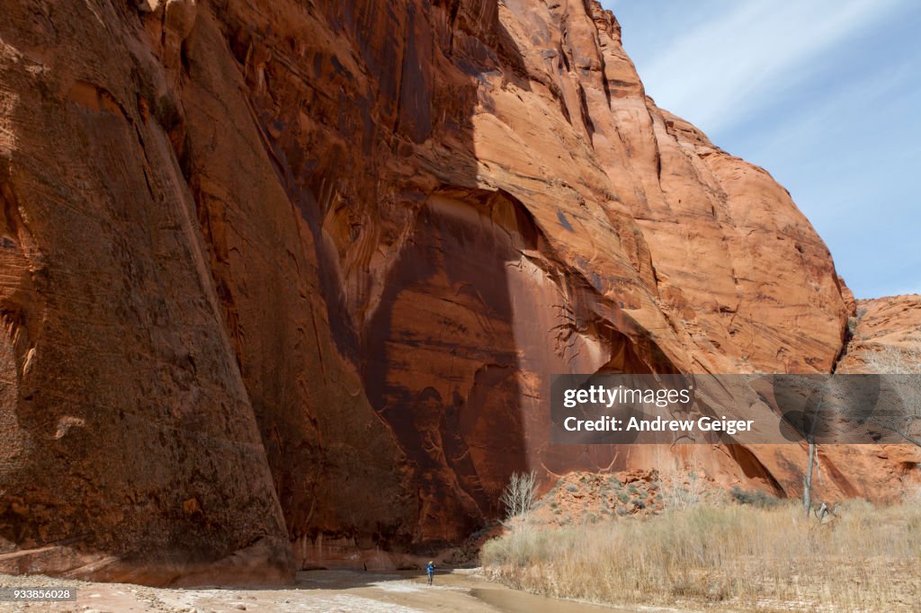 Lone man hiking along river in dramatic red rock canyon.