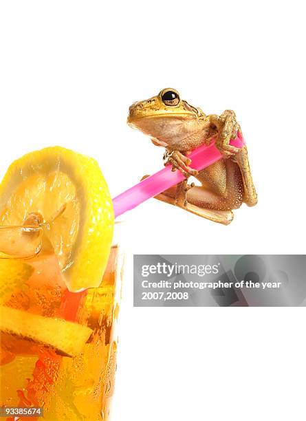 412 Crazy Frog Stock Photos, High-Res Pictures, and Images - Getty Images