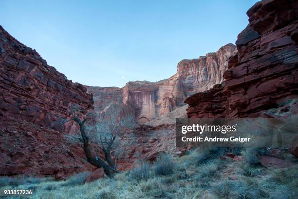 Canyon Rising Bad Moon Rising Photos and Premium High Res Pictures - Getty Images
