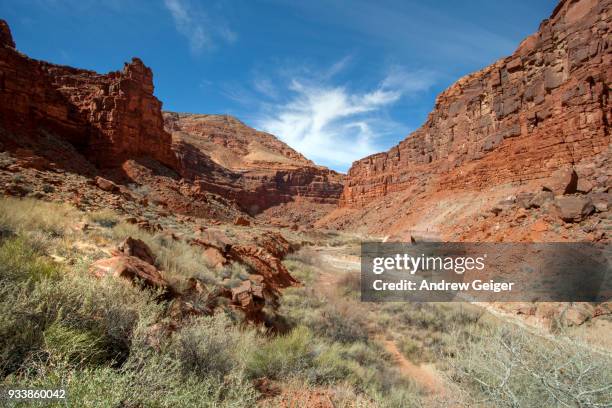 vast landscape of hiking trail along river running through red rock desert canyon. - canyon stock pictures, royalty-free photos & images