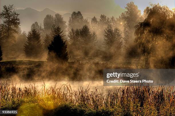 pemberton fall mist - pemberton valley stock pictures, royalty-free photos & images