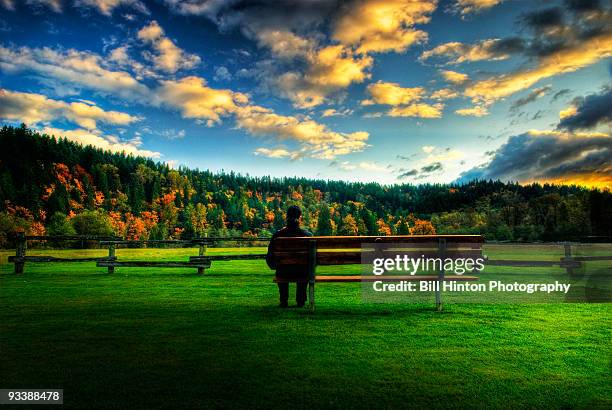 man alone in park - fall in seattle stock pictures, royalty-free photos & images