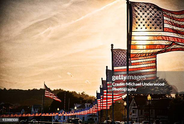 american flags at sunset - gloucester massachusetts stock pictures, royalty-free photos & images