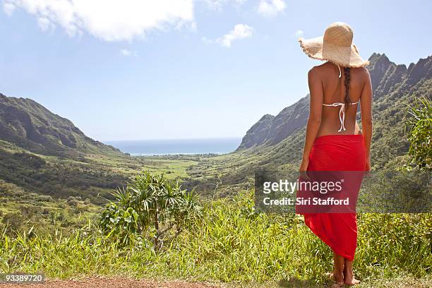 woman standing at vista point, looking to ocean - siri stafford fotografías e imágenes de stock