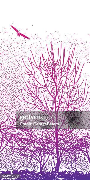 bare trees and bald eagle flying - bald eagle wings stock illustrations