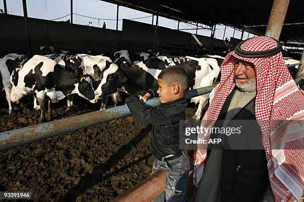 Palestinian grandfather and his grandson look at cows in a farm as Muslims across the world start to buy and sell animals to be slaughtered for the...