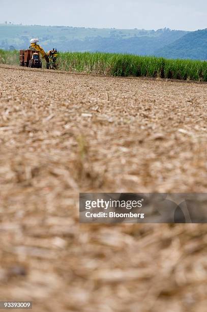 Tractor harvests sugarcane stalks on the farm of Pedra Agroindustrial S/A near Ribeirao Preto, Brazil, on Tuesday, Nov. 24, 2009. Brazil may import...