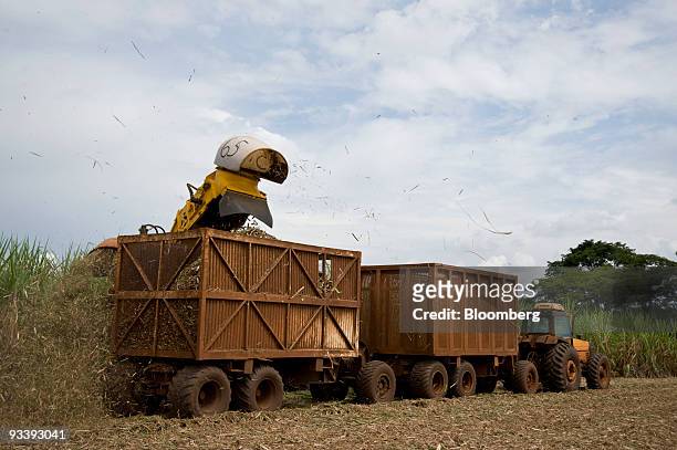Tractor harvests sugarcane stalks on the farm of Pedra Agroindustrial S/A near Ribeirao Preto, Brazil, on Tuesday, Nov. 24, 2009. Brazil may import...