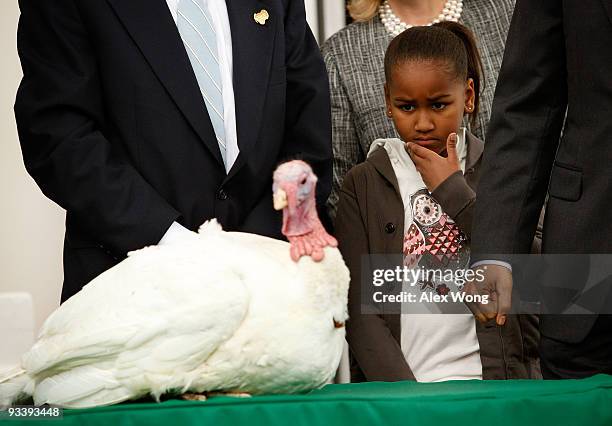 Sasha Obama, the daughter of U.S. President Barack Obama, looks at a turkey named "Courage" during an event to pardon the 20-week-old and 45-pound...