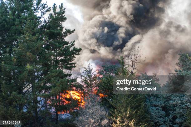Out Control Fire Smoke And Fire From Out Of Control Wildfire High-Res Stock Photo ...