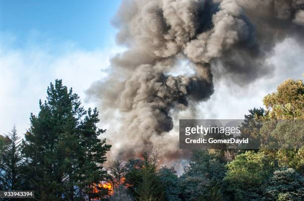 smoke and fire from out of control wildfire - fumo imagens e fotografias de stock