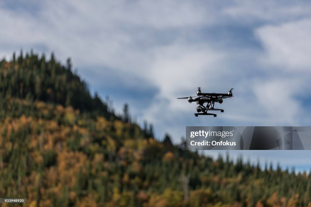 Drönare som flyger över en Boreal skog i Quebec under hösten
