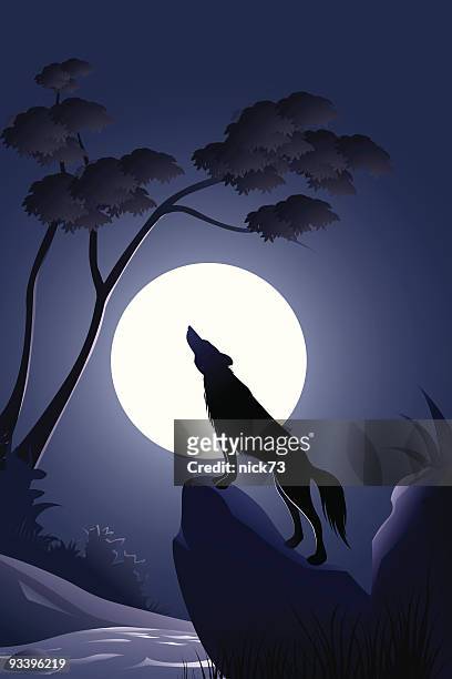 wolf background - wolf only white background stock illustrations