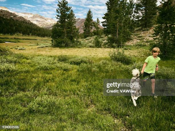 young child playing in a beautiful meadow - summit love courage stock pictures, royalty-free photos & images