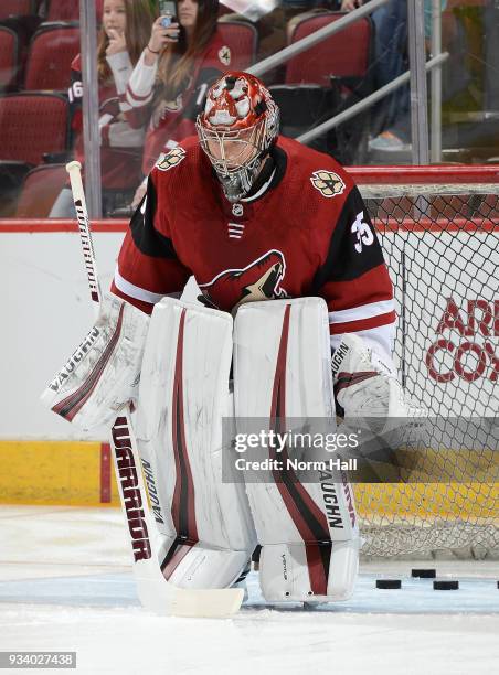 Darcy Kuemper of the Arizona Coyotes prepares for a game against the Nashville Predators at Gila River Arena on March 15, 2018 in Glendale, Arizona.