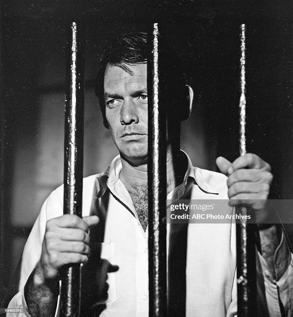 THE FUGITIVE