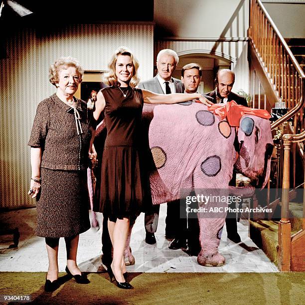 Gazebo Never Forgets" - Season Three - 12/22/66, Samantha desperately hid a live baby polka-dotted elephant, mistakenly conjured by Aunt Clara , from...