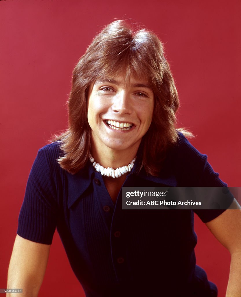 THE PARTRIDGE FAMILY