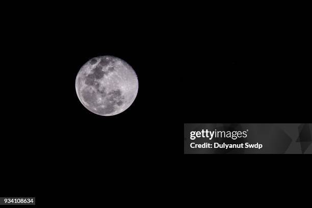 full moon close up - werewolf imagens e fotografias de stock