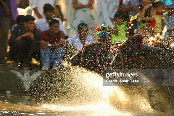 kadri kambala festival. - mangalore fotografías e imágenes de stock