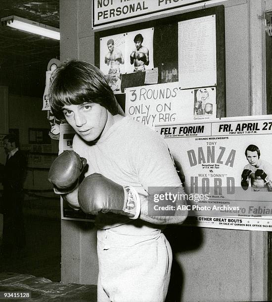 Gallery - Season One - 9/2/78, Tony Danza on the Disney General Entertainment Content via Getty Images Television Network comedy "Taxi". The staff of...