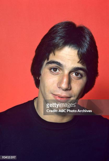 Gallery - Season One - 9/2/78, Tony Danza on the Disney General Entertainment Content via Getty Images Television Network comedy "Taxi". The staff of...