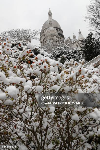 Snow covered trees are pictured near the Sacre Coeur basilica, on March 19 2018 in Paris. / AFP PHOTO / PATRICK KOVARIK