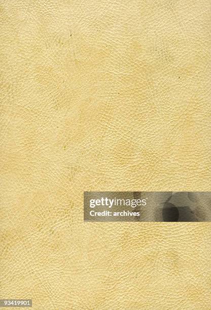 old white snake skin - snake texture stock pictures, royalty-free photos & images