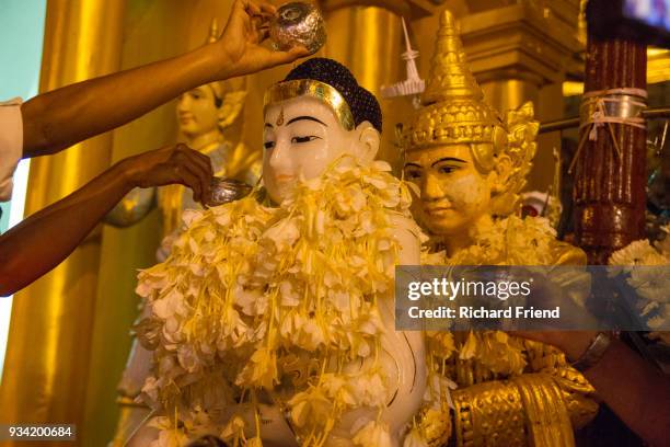 buddhist water blessing - shwedagon pagoda stock pictures, royalty-free photos & images