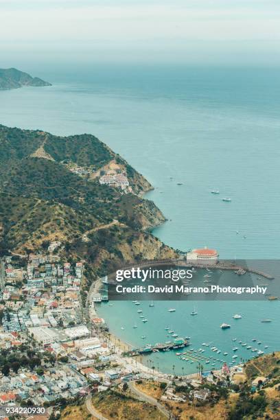 catalina island - catalina island stock-fotos und bilder