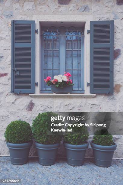 opened window and plant and flower pots decoration. - copyright by siripong kaewla iad fotografías e imágenes de stock