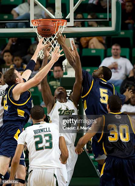 Toarlyn Fitzpatrick of the South Florida Bulls rebounds against the Kent State Golden Flashes during the game at the SunDome on November 25, 2009 in...