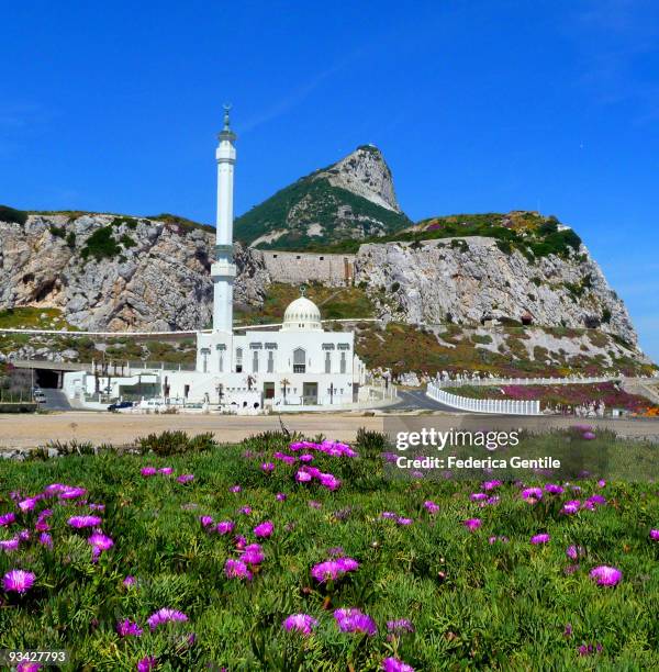 3.240 Ibrahim Al Ibrahim Mosque Stock Photos, HighRes Pictures, and