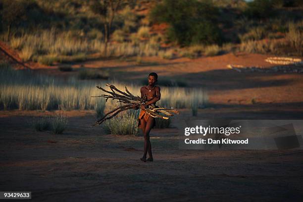 Bushman from the Khomani San community collects fire wood in the Southern Kalahari desert on October 16, 2009 in the Kalahari, South Africa. T one of...